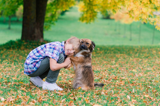 Lindo chico jugando y paseando con su perro en el prado. - Foto, Imagen