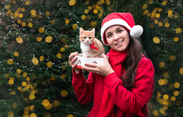 Una linda chica europea con un sombrero rojo de Santa obtiene un gatito rojo como regalo y es feliz. Consigue una mascota como regalo y sácala de la caja. Fondo brillante año nuevo con bokeh de guirnaldas amarillas. - Foto, Imagen