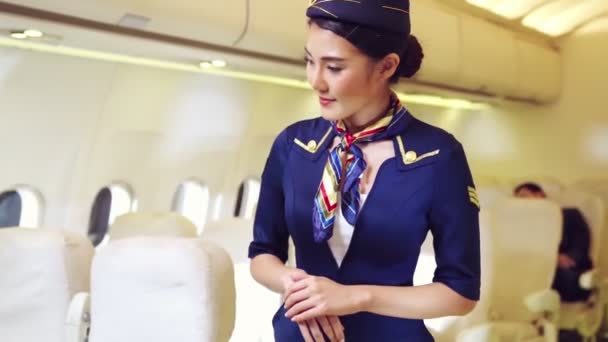 Equipaggio di cabina o hostess di volo che lavora in aereo - Filmati, video