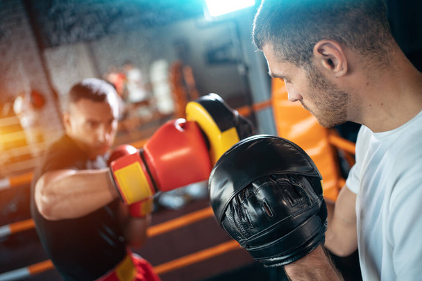 two muscle boxers sport man training and fighting on boxing ring at gym - Valokuva, kuva