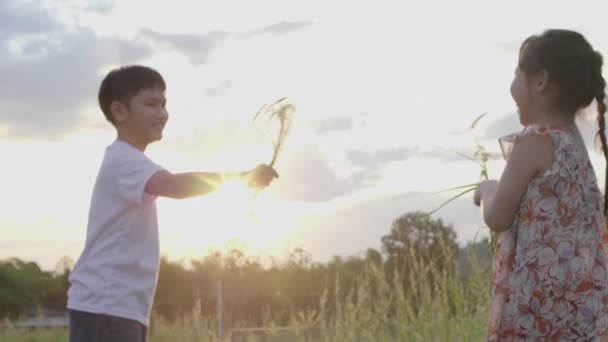 Asijští bratři a sestry běhají a hrají si se zábavou uprostřed přírody, ve večerních hodinách, kdy slunce zapadá - Záběry, video