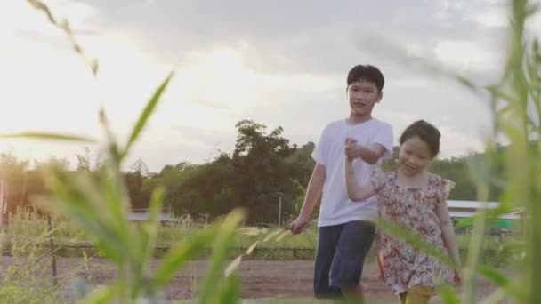 Asiatische Brüder und Schwestern Laufen und spielen mit Spaß Mitten in der Natur Am Abend, wenn die Sonne untergeht - Filmmaterial, Video