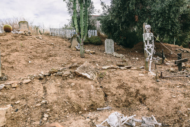 Representación de un cementerio con tumbas y esqueletos en medio de mucha tierra - Foto, Imagen