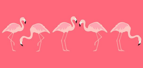 Flamingo tropical birds on pink background. raster - Fotografie, Obrázek