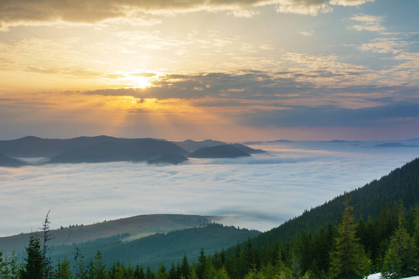 Splendida alba nelle montagne dei Carpazi con nebbia e cielo drammatico - Foto, immagini