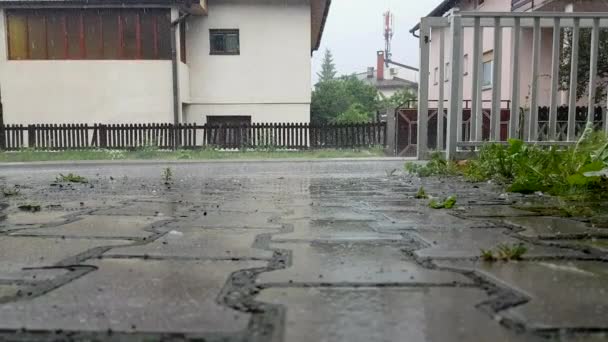Pioggia tempesta cade sulla strada  - Filmati, video