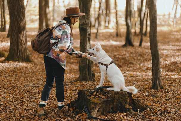 Stylish woman training adorable white dog to give paw in sunny autumn woods. Cute swiss shepherd puppy learning with treats. Hipster female with backpack playing with her dog in autumn forest - Photo, Image