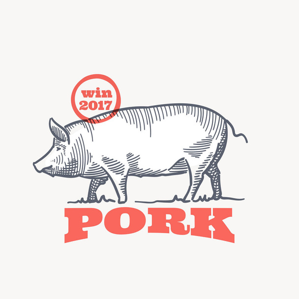 Farm pig emblem in classic elegance engraving style. Vector drawing for your food corporate identity, agriculture illustration, restaurant logo, and etc.  - Vector, Image