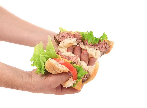 Hand holds two half of hamburger - Foto, immagini