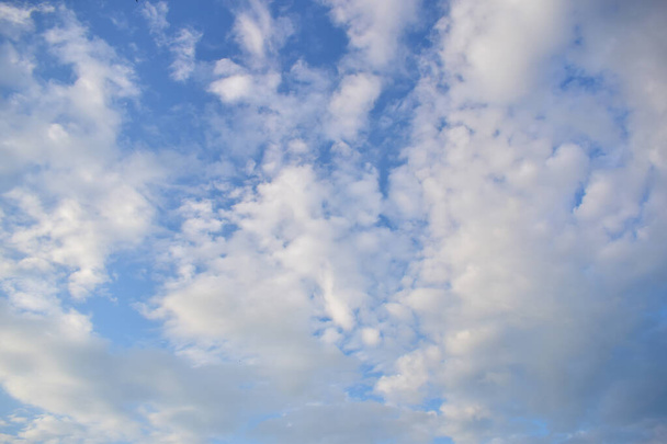 many white clouds float across the blue sky - Foto, Bild