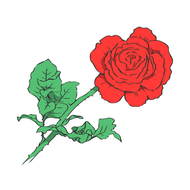 Czerwona róża na białym tle. Rysowanie ręczne liniami. Do dekoracyjnego designu. Ilustracja izolowana wektora. - Wektor, obraz