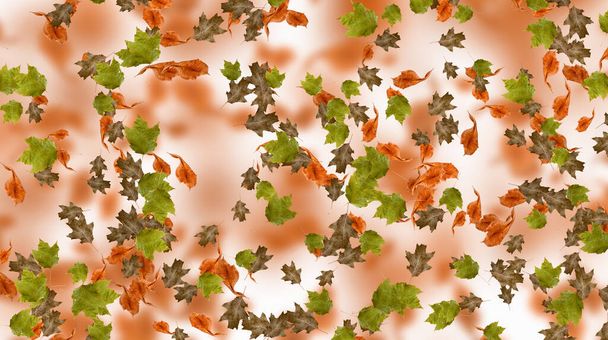 Autumn Colorful leaves. Nature fall background. Creative layout. Season pattern. 3d illustration. - Photo, Image