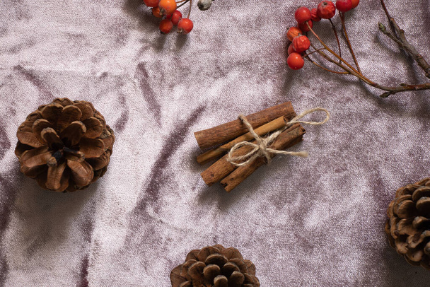 シナモンの木松のコーンビブルムタンジェリンピンクの絹の生地に嘘をつく、背景としてクリスマスの装飾 - 写真・画像