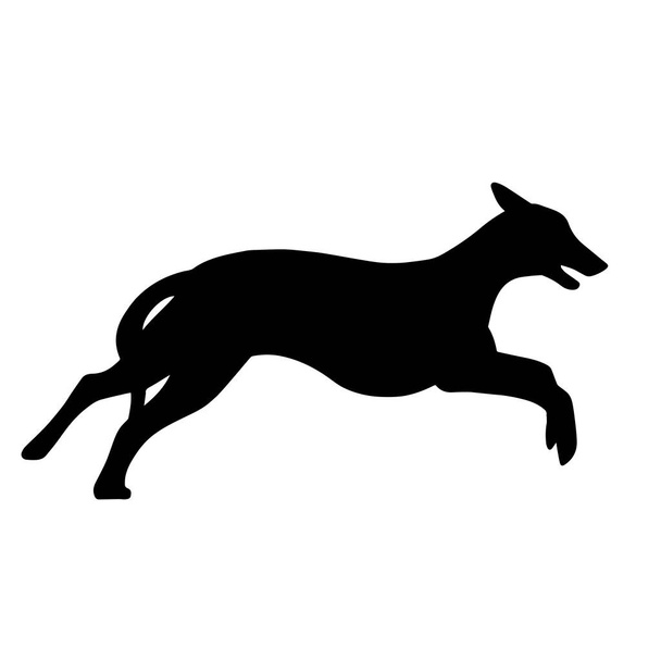 グレイハウンドのランニング犬のシルエット。敏捷イラスト。オオカミの親戚のイメージ - 写真・画像