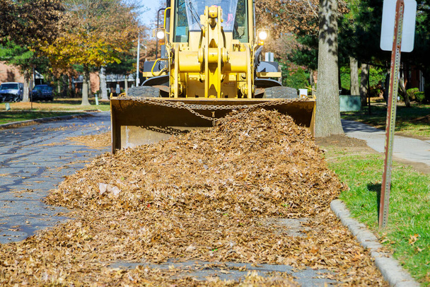 Mejora de los lugares públicos equipo de la ciudad elimina el trabajo estacional en las hojas caídas con excavadora - Foto, imagen