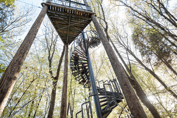Torre de salto de cuerda en el bosque - Foto, Imagen