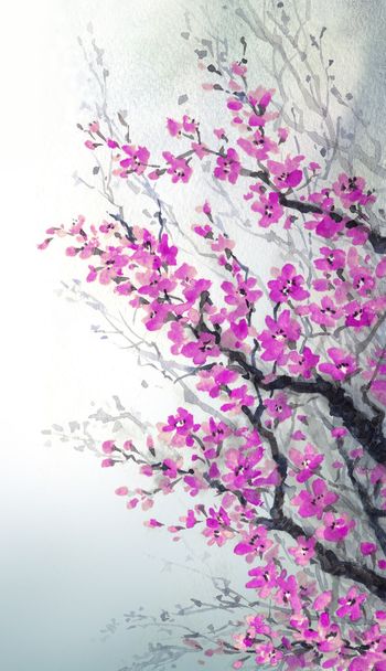 Watercolor painting. Branches of blossoms cherry - Photo, Image