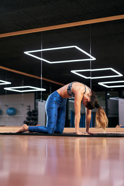 Attraente giovane donna che pratica yoga o pilates in una palestra, esercizio in blu abbigliamento sportivo, facendo Cat Pose o Marjaryasana. Silhouette piena lunghezza. - Foto, immagini