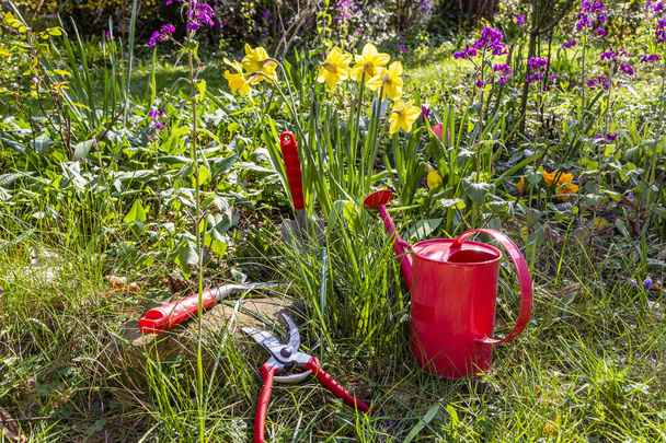 Κηπουρική με τσουγκράνα, ψαλίδι και ποτιστήρι σε κήπο την άνοιξη - Φωτογραφία, εικόνα