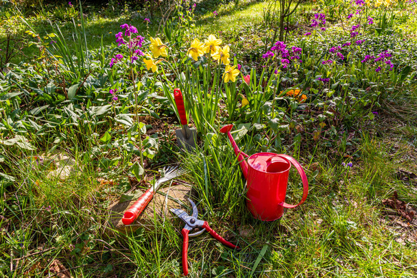 Jardinería con rastrillo, tijeras y regadera en un jardín en primavera - Foto, Imagen