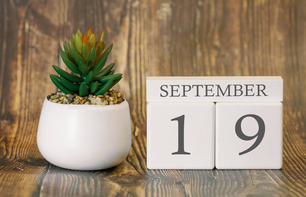 Flower pot and calendar for the cool season from 19 September. Autumn time. - Foto, imagen