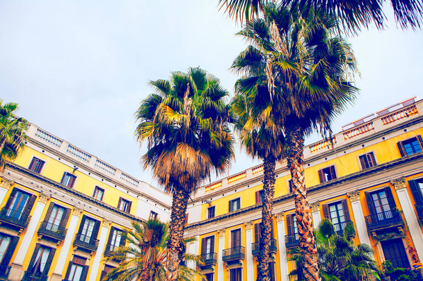 Palm trees and architecture of of Placa Reial in Barcelona - Photo, Image