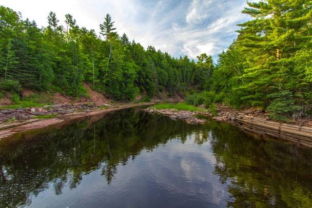 Forest River Landscape. Bosque boreal escena salvaje y río en el río Prickett en la península superior de Michigan. - Foto, imagen