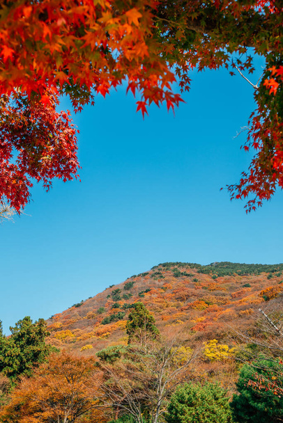 Φθινόπωρο βουνό με κόκκινο σφενδάμι στο ναό Beomeosa στο Μπουσάν της Κορέας - Φωτογραφία, εικόνα