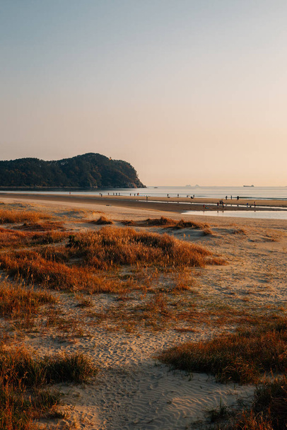 Sunset of Dadaepo Beach park στο Μπουσάν της Κορέας - Φωτογραφία, εικόνα