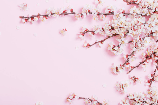 cherry flowers on pink paper background - Foto, afbeelding