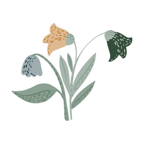 Belle fleur isolée sur fond blanc. Fleur botanique scandinave en illustration vectorielle doodle. - Vecteur, image
