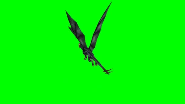 Flying dragon wyvern op groen groen - Video