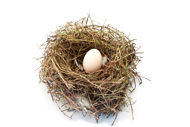 One rural eggs in a nest - Photo, Image