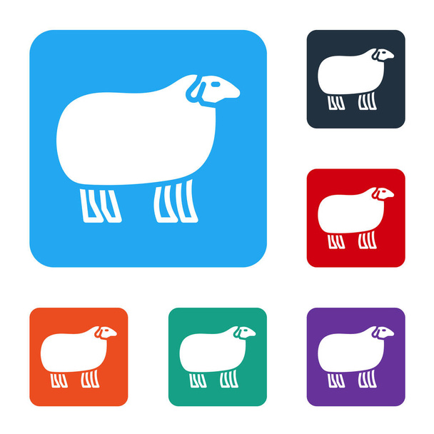 White Sheep icon isolated on white background. Animal symbol. Set icons in color square buttons. Vector. - Вектор,изображение