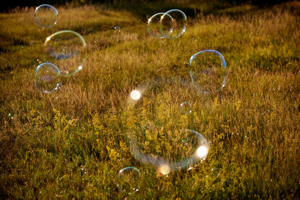 Bulles de savon brillant brillant sur le fond d'une prairie et la lumière du soleil, beau fond d'été, image floue. - Photo, image