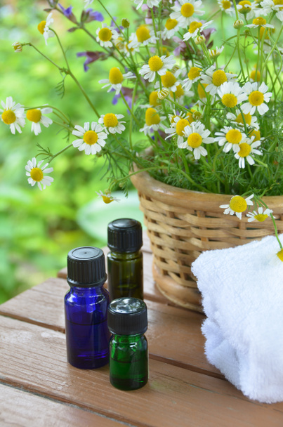 Huiles essentielles pour aromathérapie
 - Photo, image