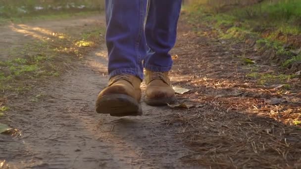 Vue basse des jambes masculines en bottes marchant le long d'un sentier dans la forêt - Séquence, vidéo