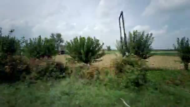 Campos cultivados vistos desde el coche en marcha. Imágenes de alta calidad 4k - Metraje, vídeo