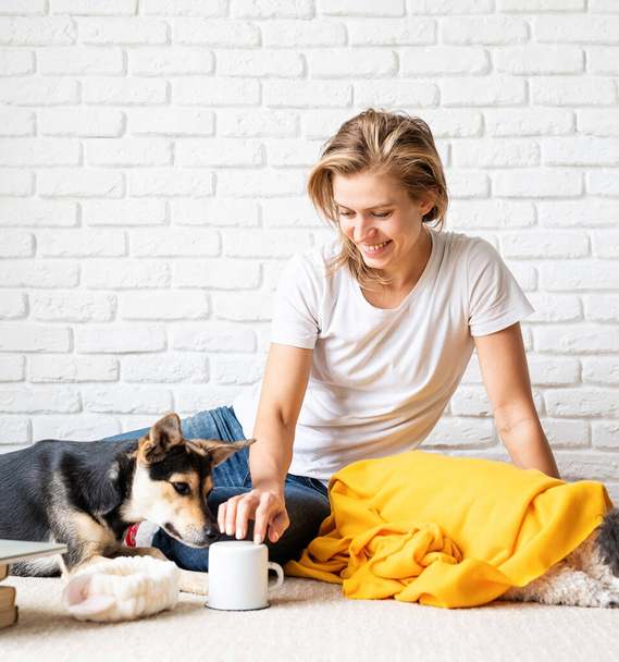 Huisdierenzorg. Grappige jonge vrouw in gele ruit zitten op de vloer spelen met haar honden - Foto, afbeelding
