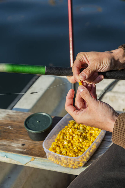 Close up of hands setting corn as bait on fishing hook. Man is holding fishing rod and line with sinkers. He is working on boat while floating over river. - Photo, Image