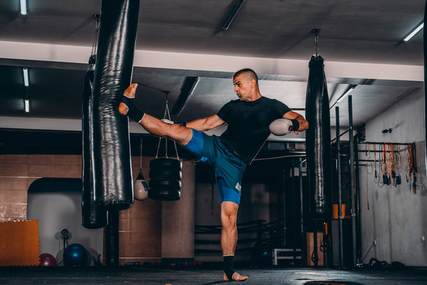 Eğitim ve pratik dövüş için hazır Başlarken kararlı profesyonel boksör, portresi - Fotoğraf, Görsel