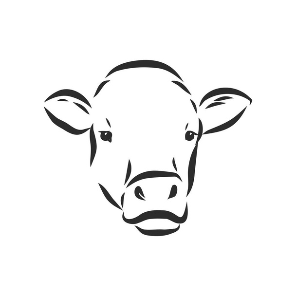 黒と白の線画が牛のイラストを描く - ベクター画像