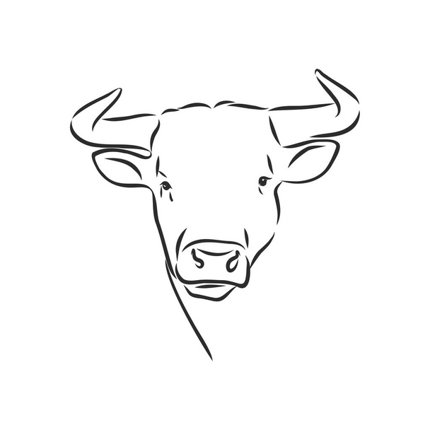 illustration vectorielle de taureau dessin de peinture linéaire noir et blanc - Vecteur, image