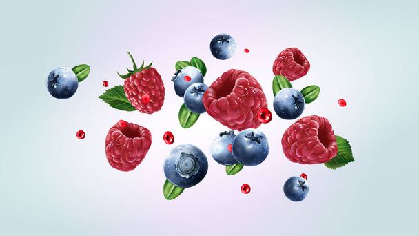 Raspberries and blueberries are flying with juice drops. - Vector, Imagen