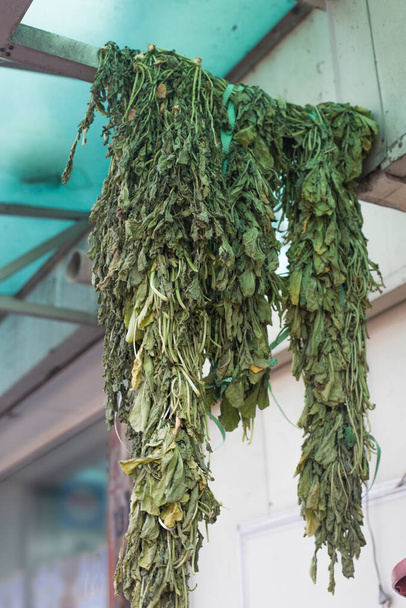dried radish green vegetable in line on rope in the country - Photo, Image