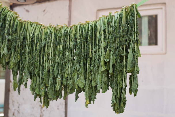 αποξηραμένα ραπάνια πράσινα λαχανικά σε σειρά σε σχοινί στη χώρα - Φωτογραφία, εικόνα