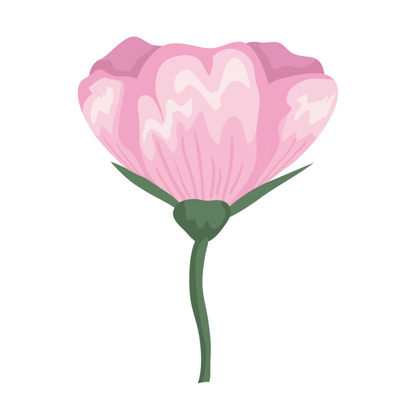 květinová růžová malba vektor design - Vektor, obrázek