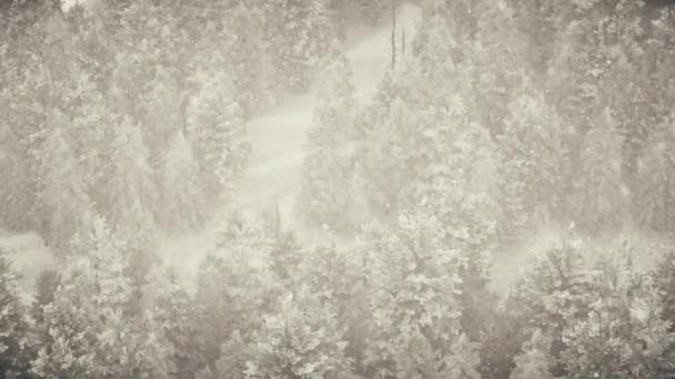 Téli hóesés az erdőben, szelíd, havas karácsony reggel esik a hó. Téli táj. Karácsonyi háttér. Hóval borított fák. Köd. Ultra reális 3D-s zökkenőmentes hurok animáció - Felvétel, videó