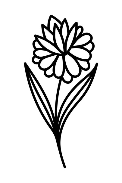 BEAUTIFUL FLOWER ON A WHITE BACKGROUND IN VECTOR - Wektor, obraz
