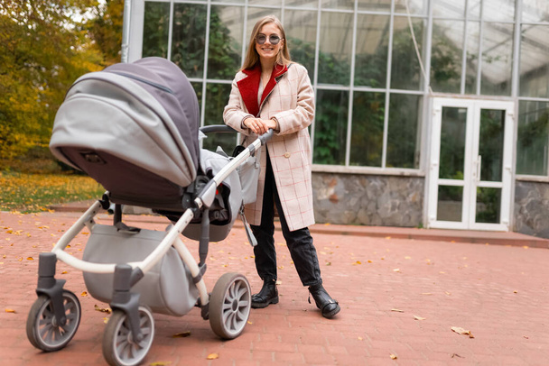 Mom with stroller walking in park - Photo, Image